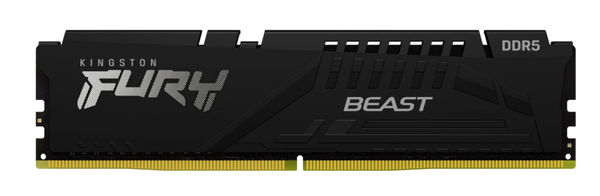 Kingston FURY Beast schwarz UDIMM 16GB, DDR5-5200, CL40-40-40, 1RX8