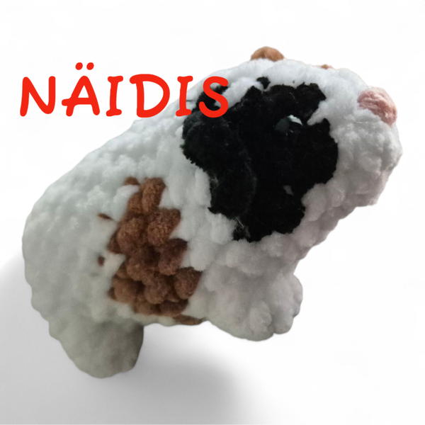 Heegeldatud NOTSIK
