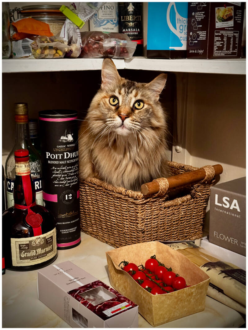 Pam 1-entertaining-myself-on-a-rainy-day-standard.jpg