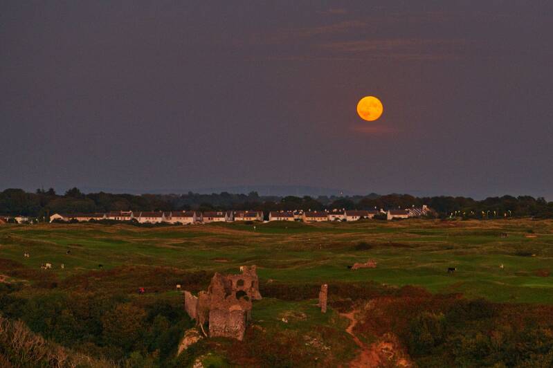 Ally 2-super-moon_ally-morton-standard.jpg