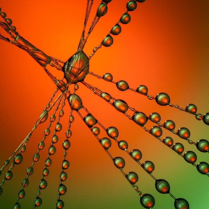 Green and Orange Droplets - Lee-Anne