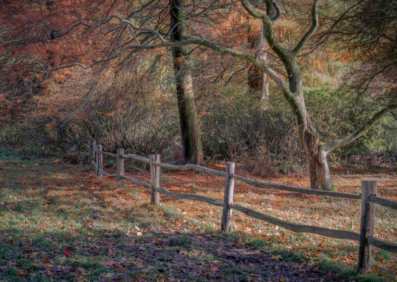 autumn-by-stephen-davenport-standard.jpg