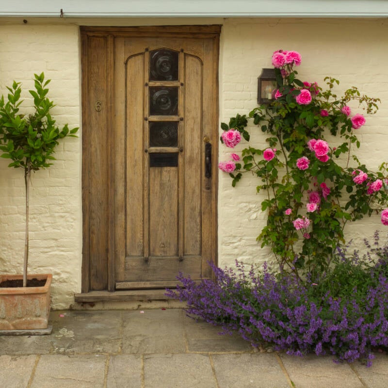 front-door-by-paul-meyer-standard-ff171x.jpg
