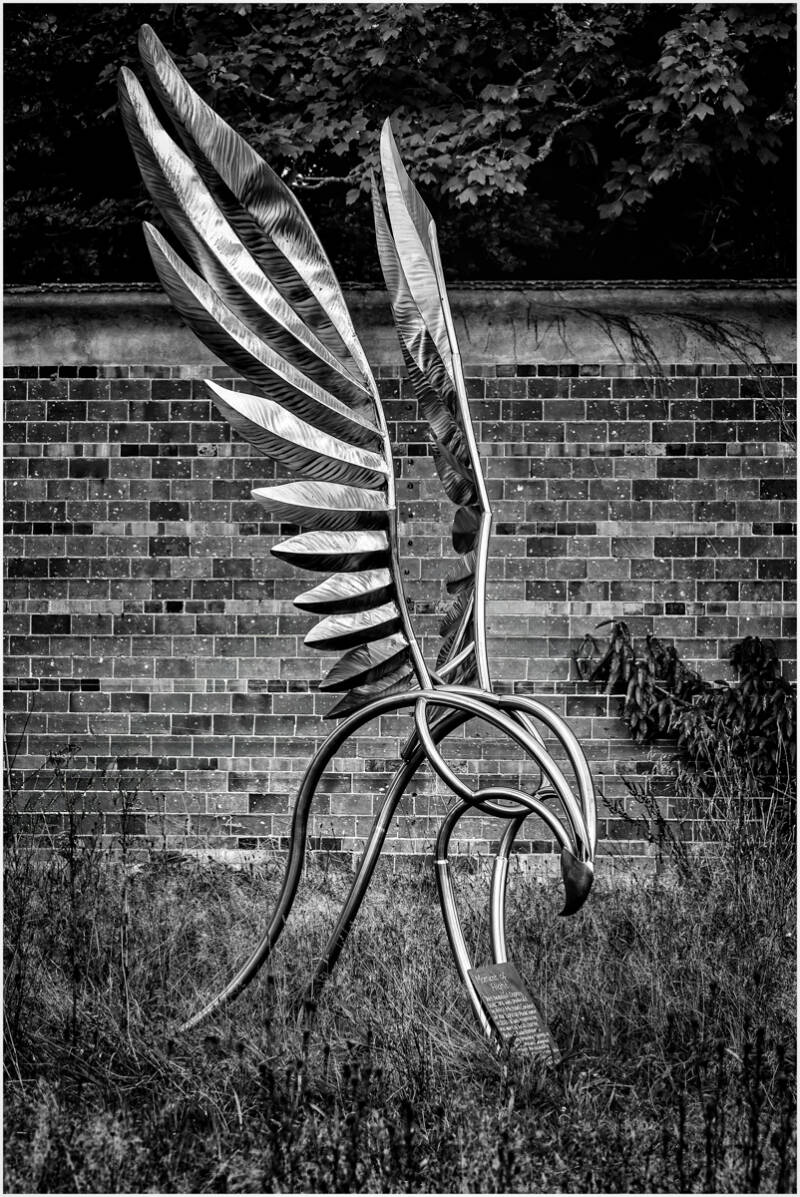 moment-of-flight-malcolm-balmer-standard-tuhlx6.jpg