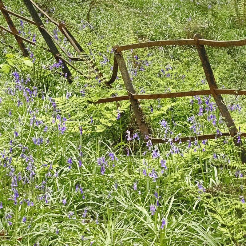 someone-sat-on-the-fence-e-jubb-standard-25vebi.jpg