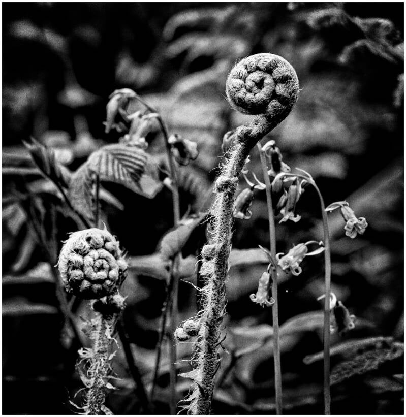 spirals-by-malcolm-balmer-standard-gcey5u.jpg