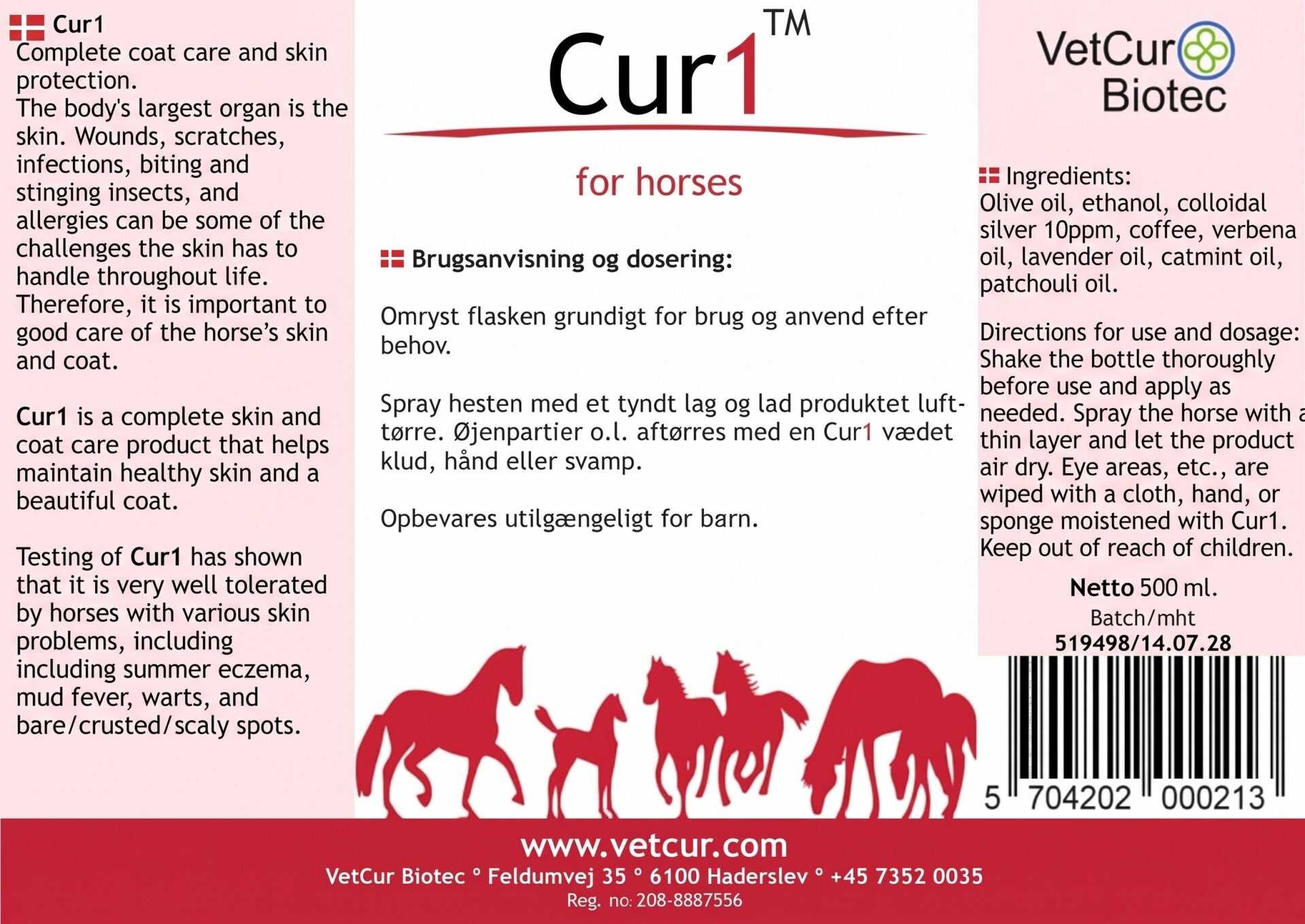 Cur1 Paard by Vetcur