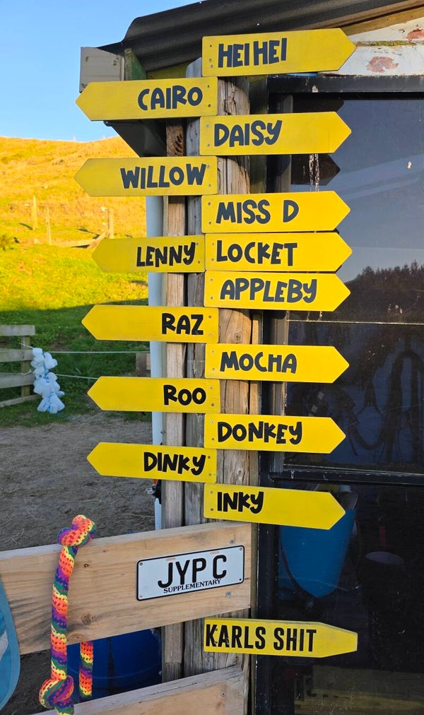 WheresMyAss signs