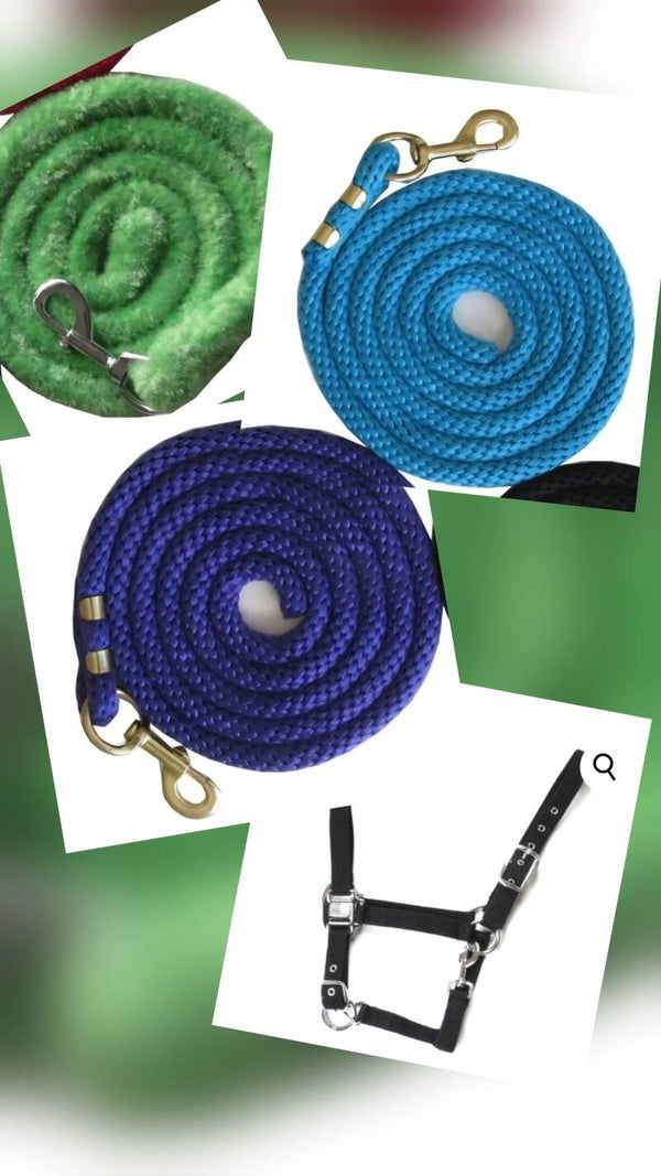 COMBO Nylon halter and lead rope ***SUPER DEAL