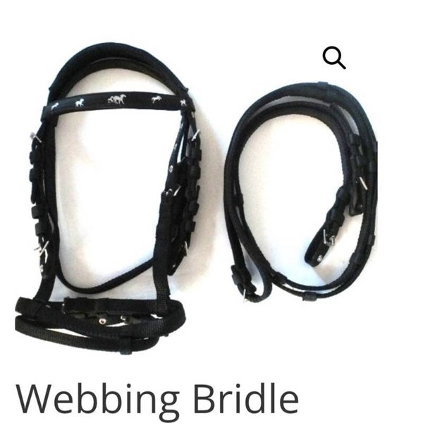 WEBBING BRIDLE (3 bulk deal) ***SECONDS *** COB