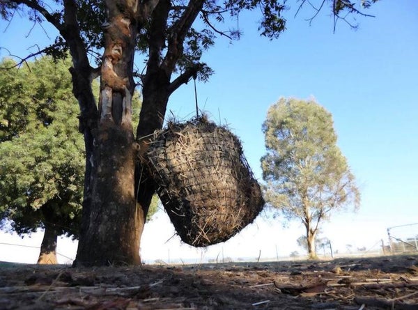 Knotted Hay Nets - SMALL - GutzBusta Slow Feed Hay Nets