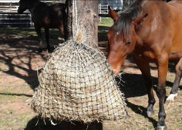 Knotted Hay Nets -  MEDIUM- GutzBusta slow feed hay nets