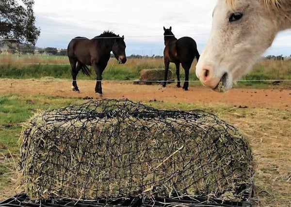 Knotted Hay Nets -  LARGE- GutzBusta slow feed hay nets