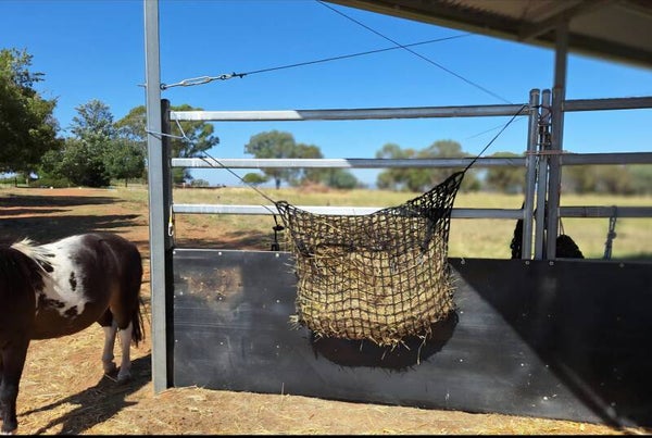 Junior Hay-Stay Hanging Knotless Hay Net - GutzBusta slow feed hay nets