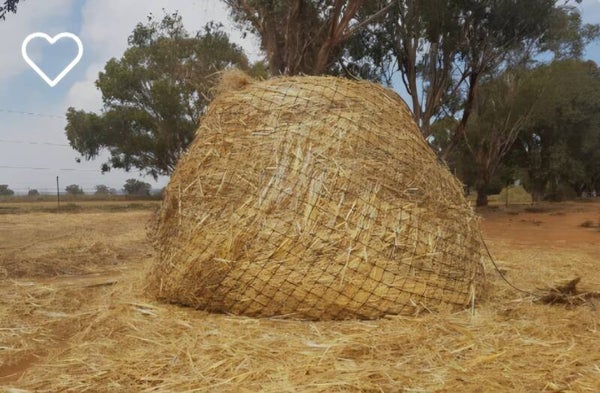 Knotted Hay Nets -  6' x 4' Round Bale- GutzBusta slow feed hay nets