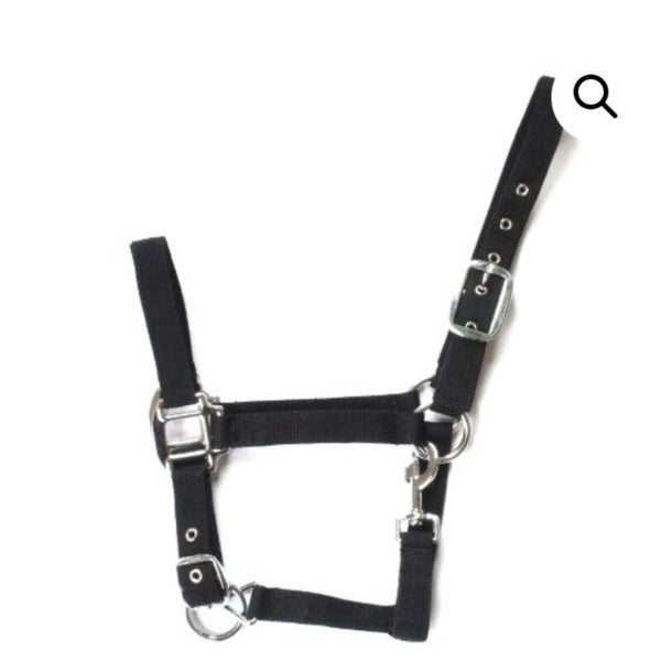 Nylon Halters ***ALL SIZES -small pony, pony, cob, full