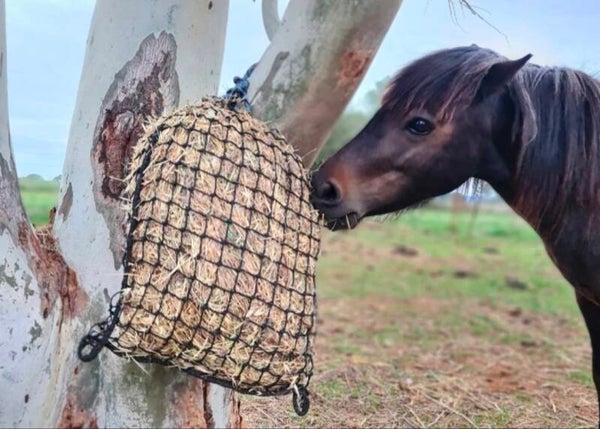Knotted Hay Nets - EXTRA SMALL - GutzBusta Slow Feed Hay Nets
