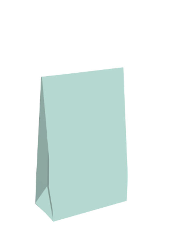 Gift bag Uni Mint 13x17,5