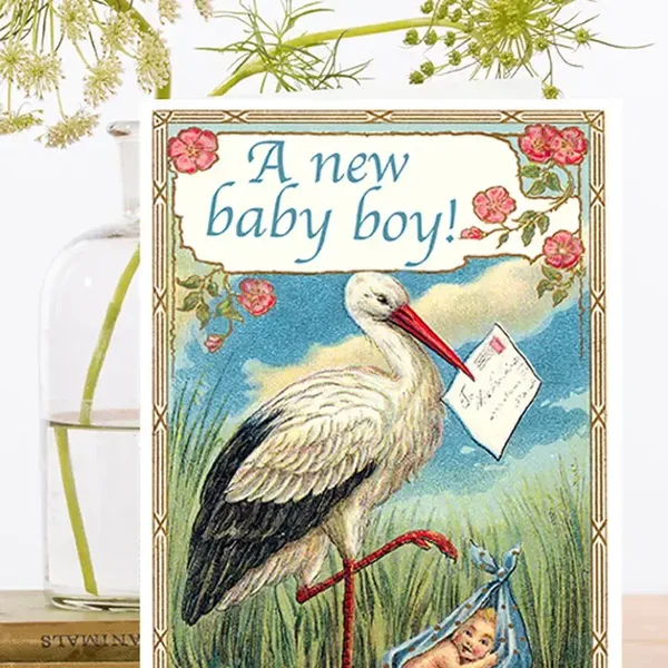 Madame Treacle Kaart "The Stork Baby Boy"