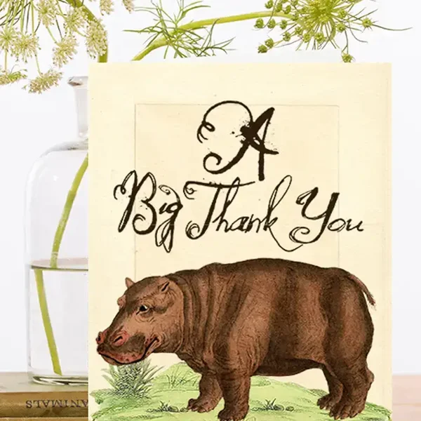 Madame Treacle Kaart "Hippopotamus"