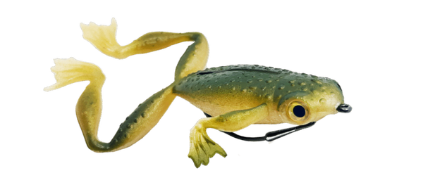 Delalande Froggy