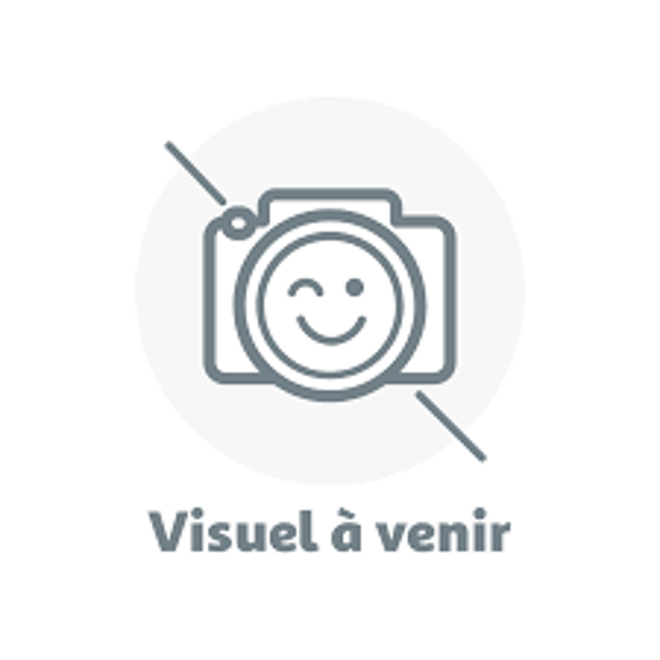 "Memory" le Lapin Souvenir