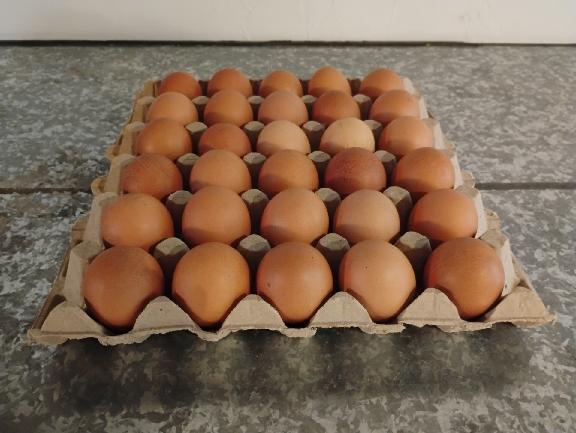 30 stk. brune MEDIUM æg