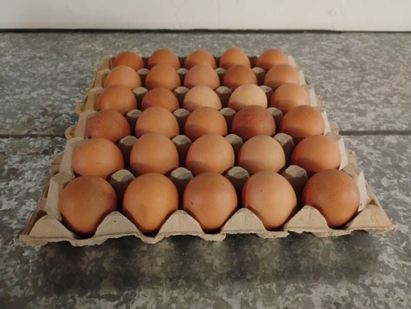 30 stk. brune SMALL/MEDIUM æg