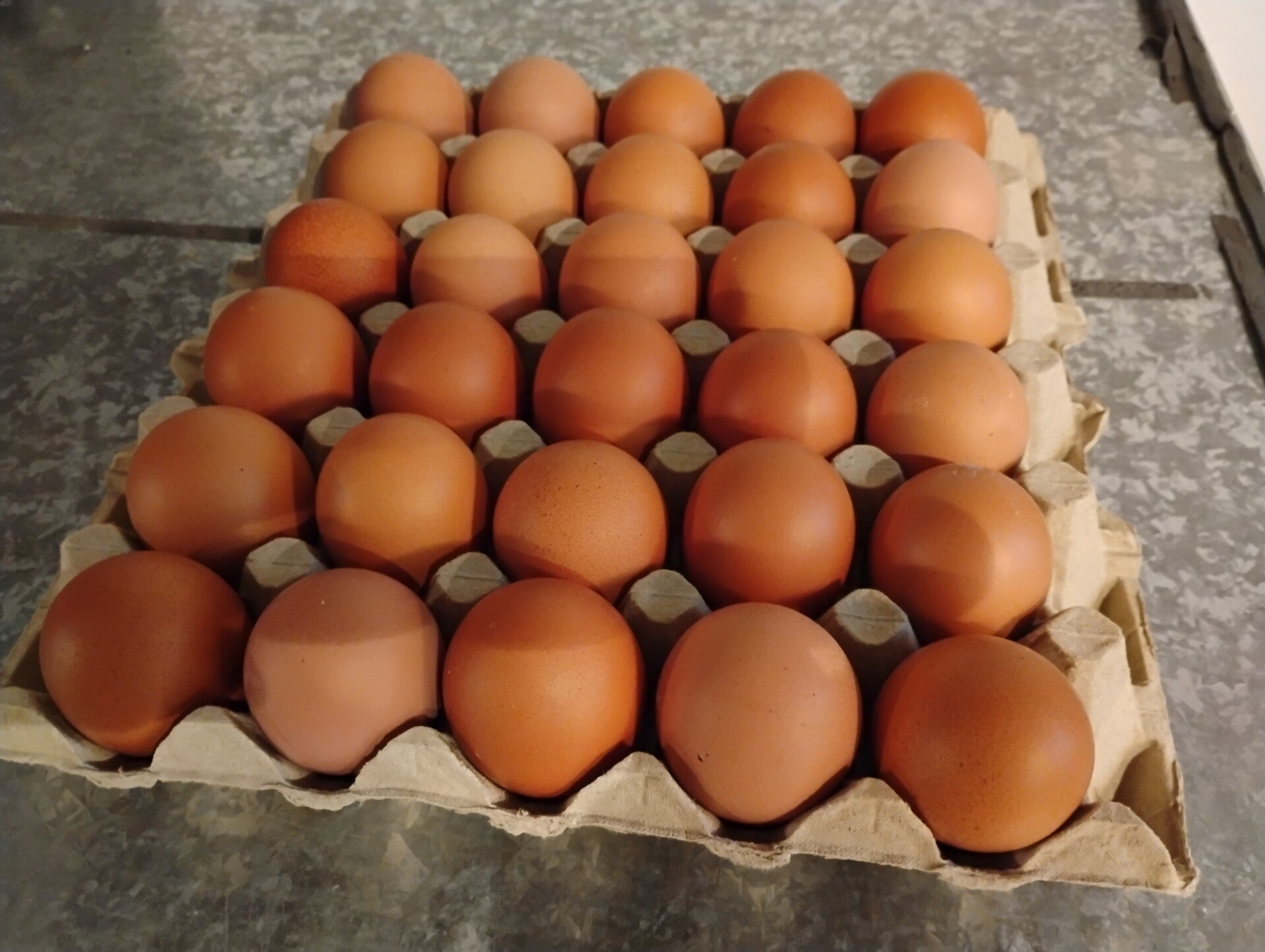 30 stk. brune LARGE æg