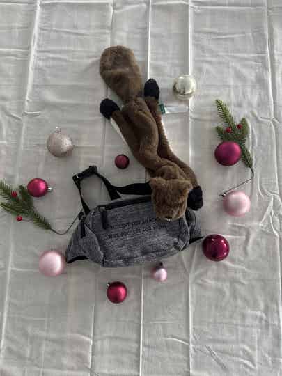 "Paws on the go" kerstbox