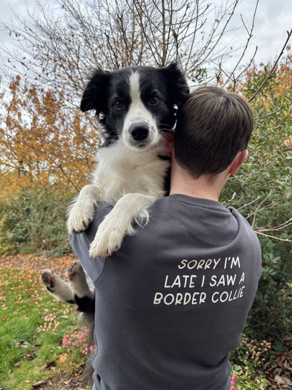 Sorry I'm late Sweater