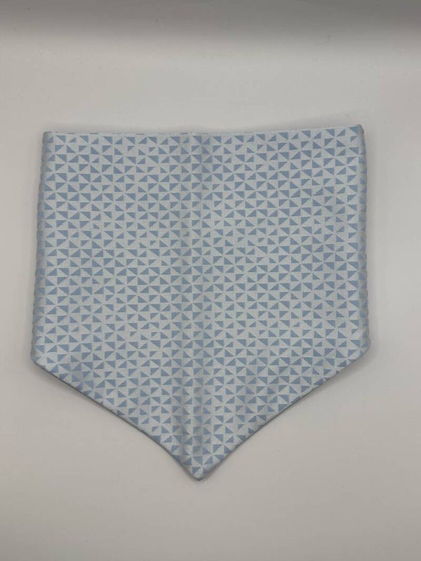 Shiny Bandana
