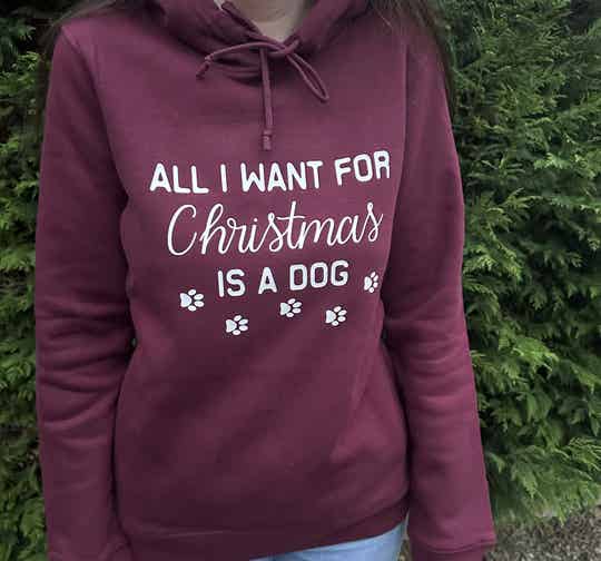 All I want for Christmas is a dog hoodie