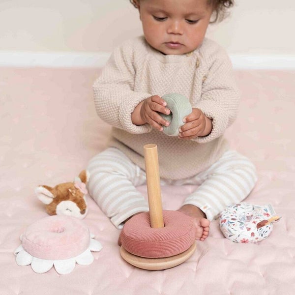 Tuimelstapelaar - Fairy Garden / Forest Friends - Geboortegegevens