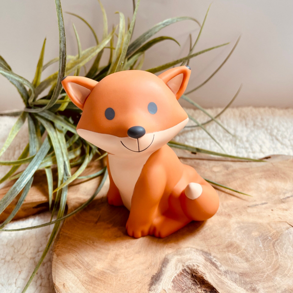 Spaarpot - Cesar Fox met Naam