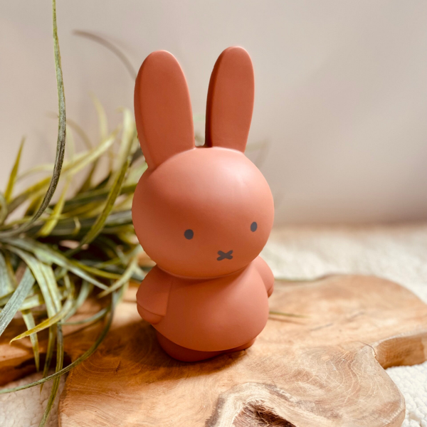 Spaarpot - Konijntje Terracotta met Naam