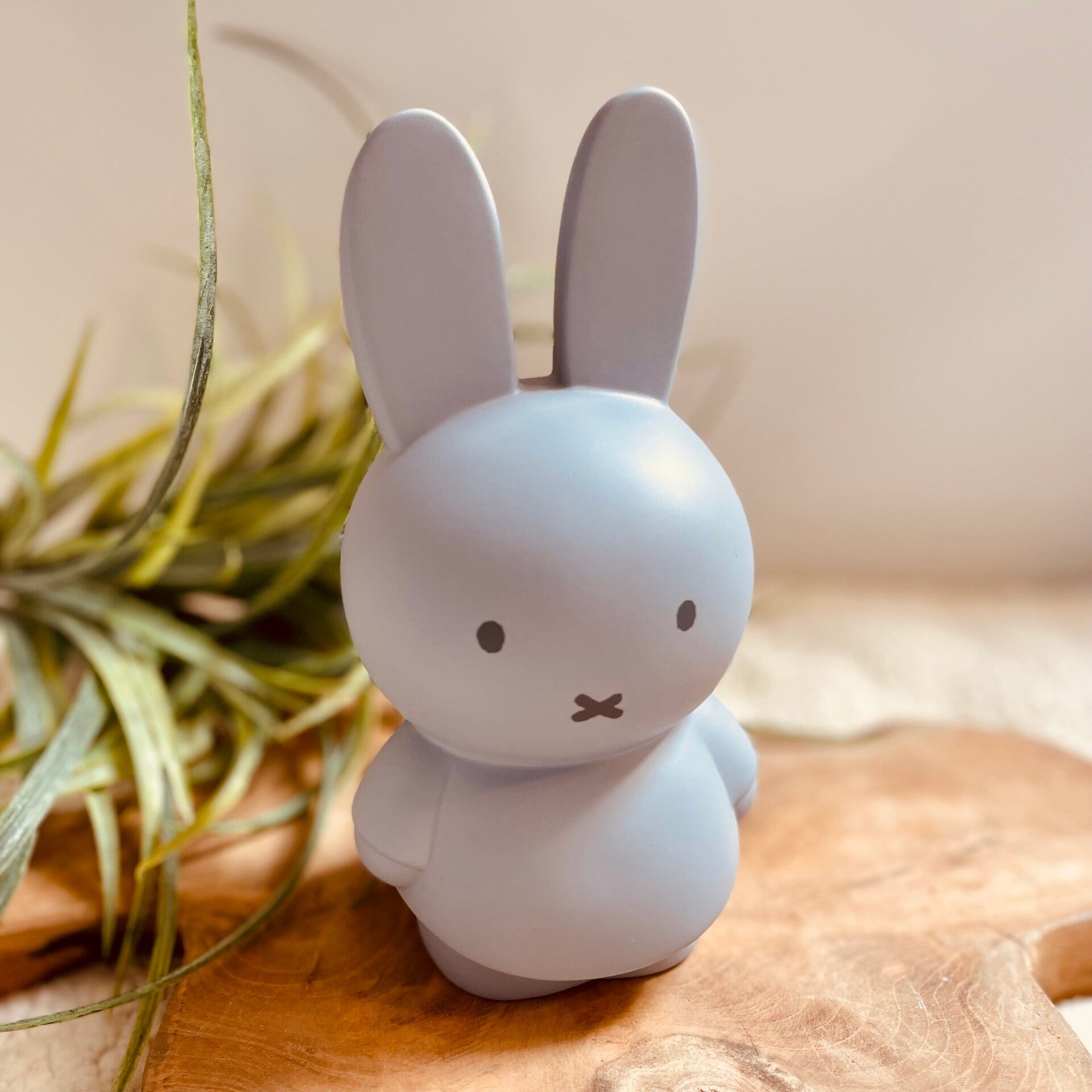 Spaarpot - Konijntje Silver Blue met Naam