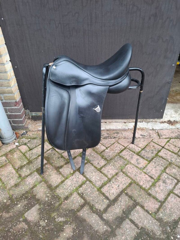Bates dressage 17