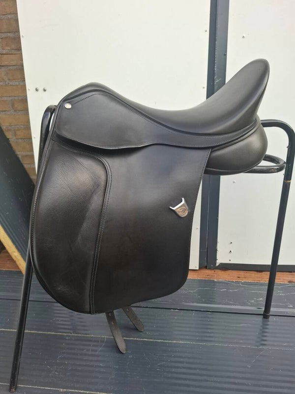 Bates dressage 17