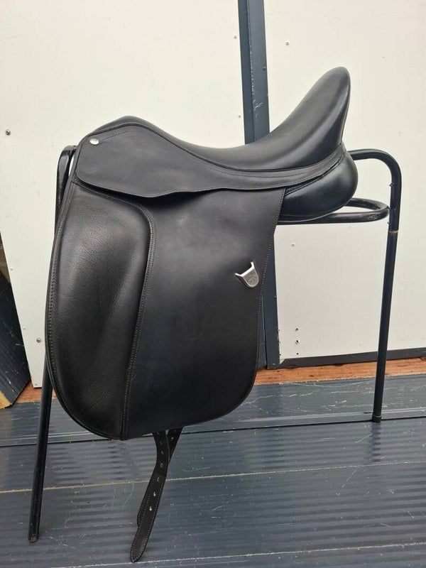 Bates dressage 17