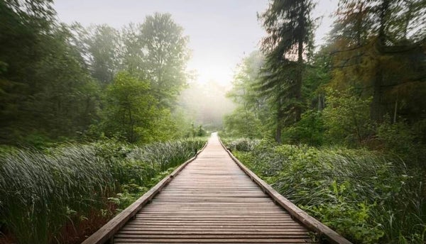 Terug naar jezelf traject