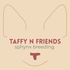 taffy n friends sphynx breeding