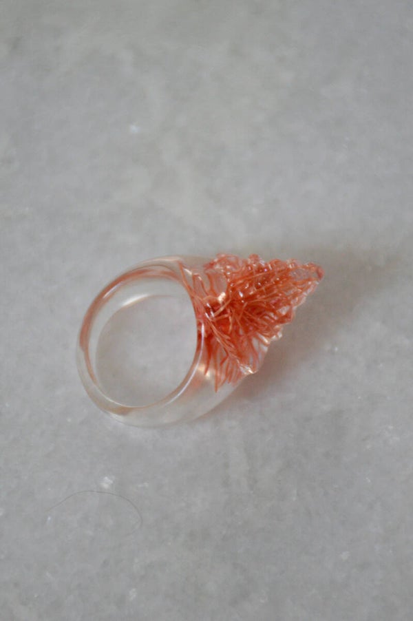 Conch ring seaweed powder