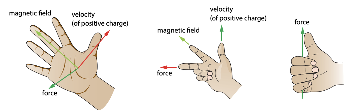 5.4 Magnetic Field / Electricity and Magnestism / IB Physics / Physics ...
