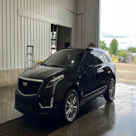 cadi-mercier-standard.jpg
