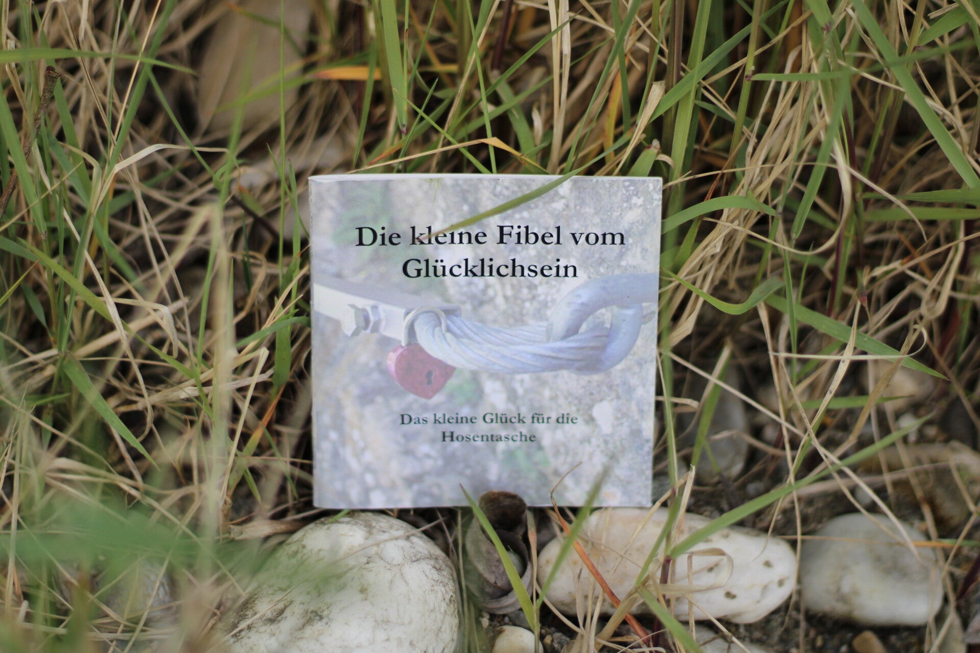 Die kleine Fibel vom Glücklichsein