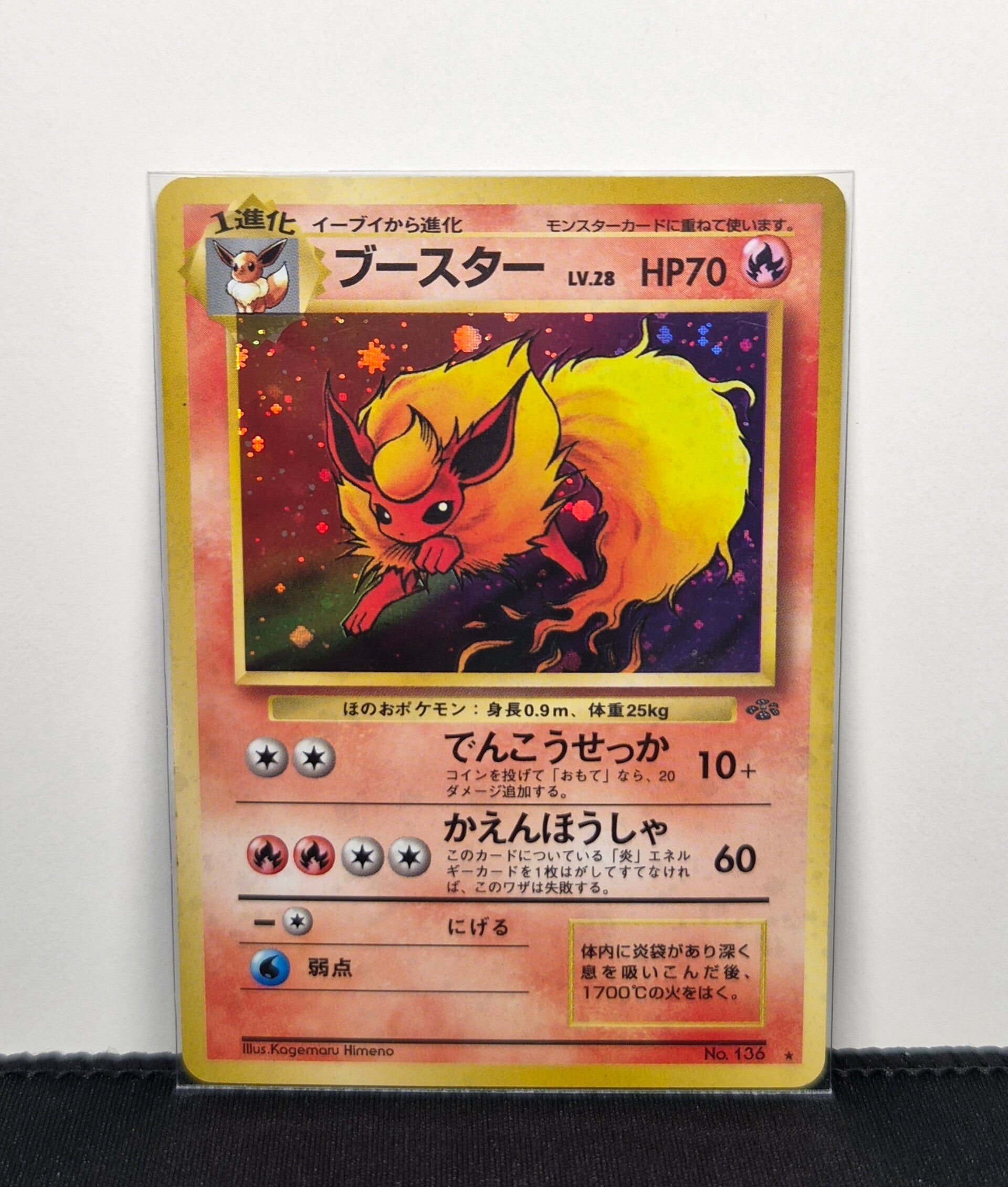 Pokémon - Flareon, Jungle