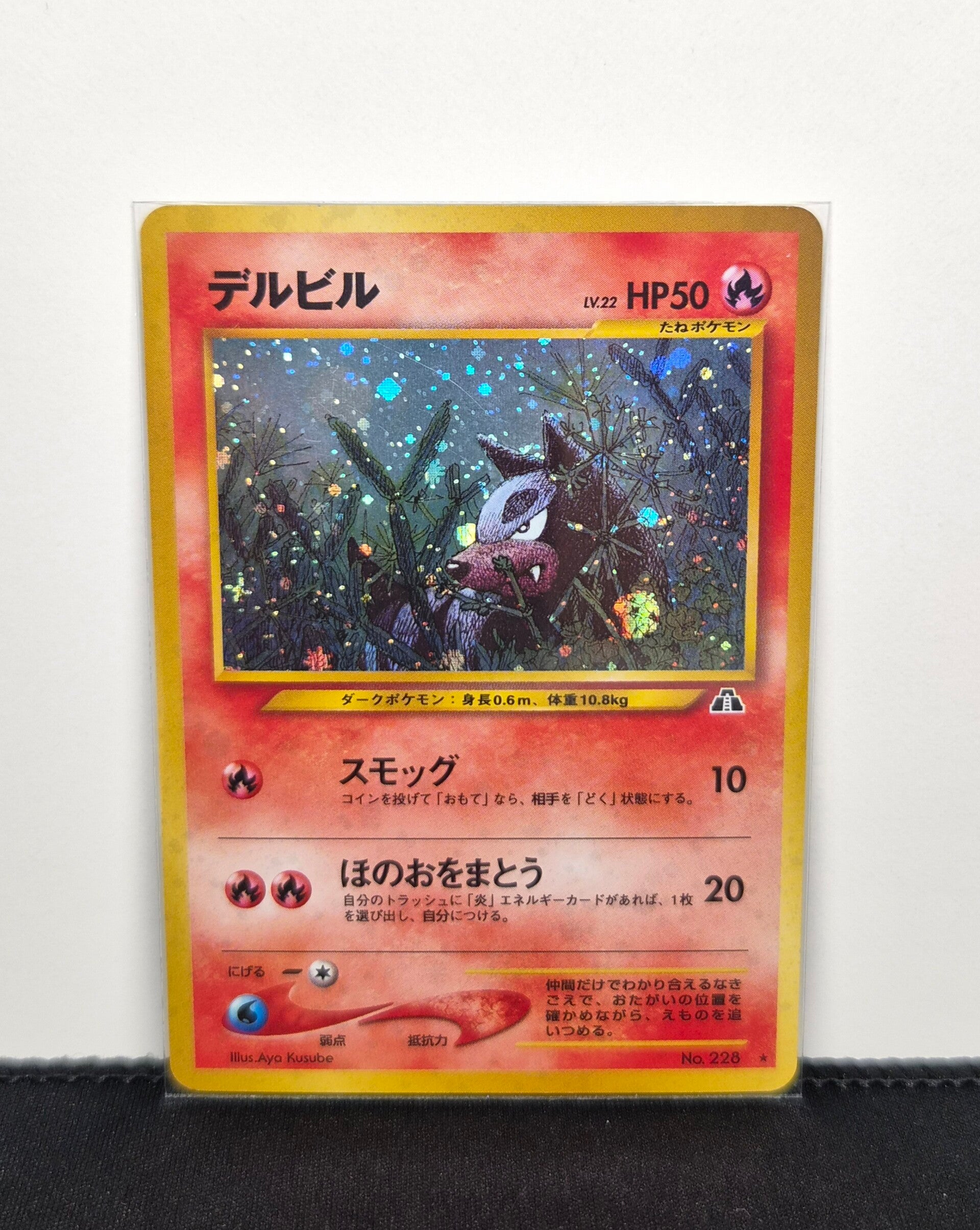 Pokémon - Houndour, Crossing the Ruins..