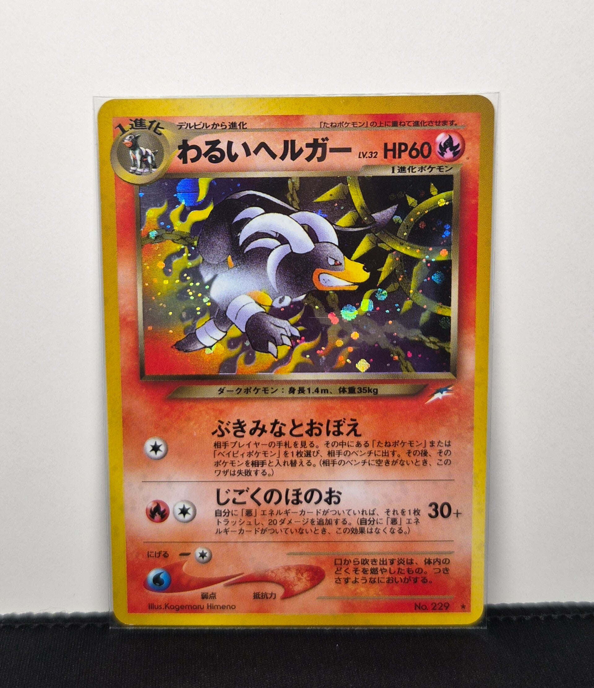 Pokémon - Dark Houndoom, Darkness, and to the Light..