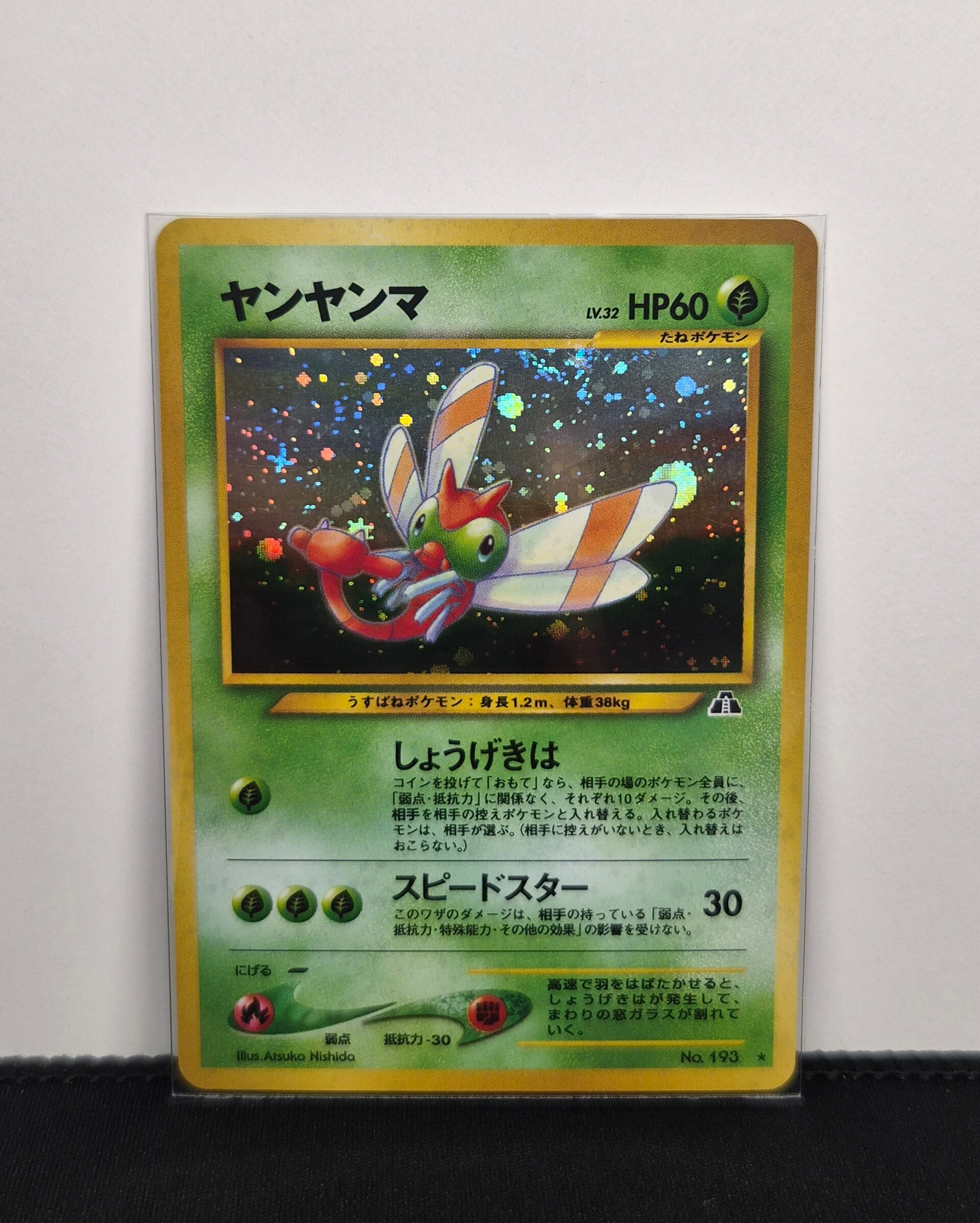 Pokémon - Yanma, Crossing the Ruins